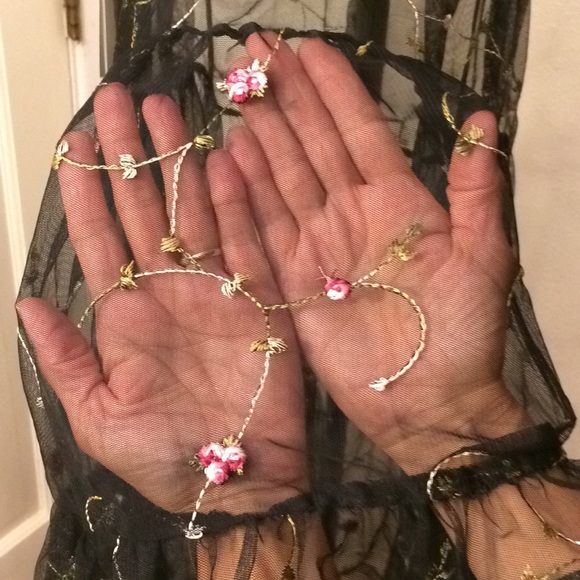 NWT Black Embroidered Mesh IRIS Dress - Picture 3 of 3